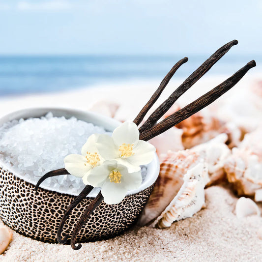 Sea Salt and Vanilla Snap Bar