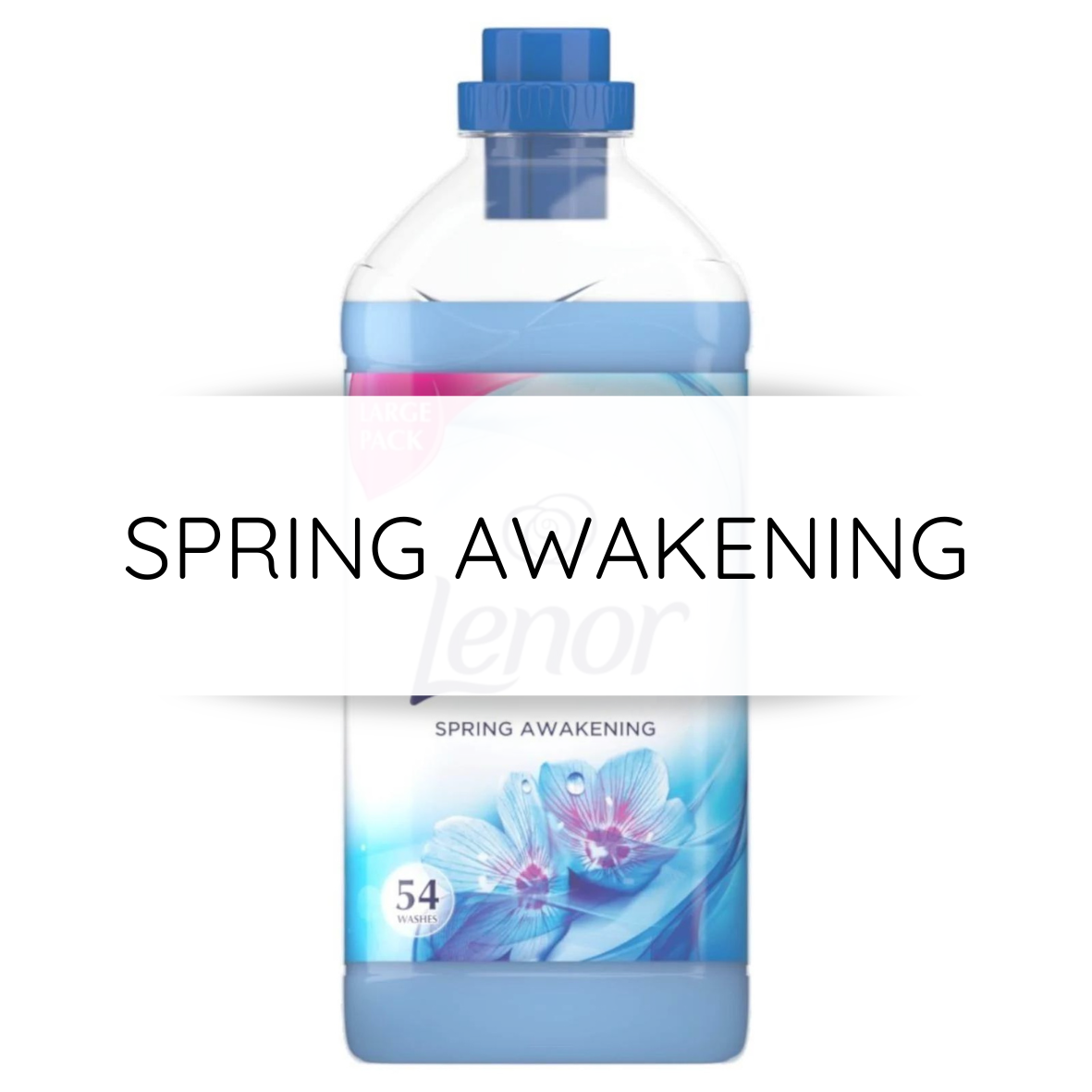 Spring Awakening