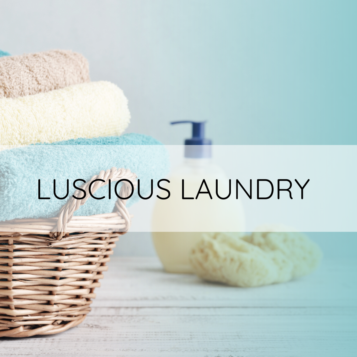 Luscious Laundry Snap Bar